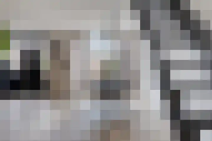 Putteweye 4 Heenvliet thumbnail 10