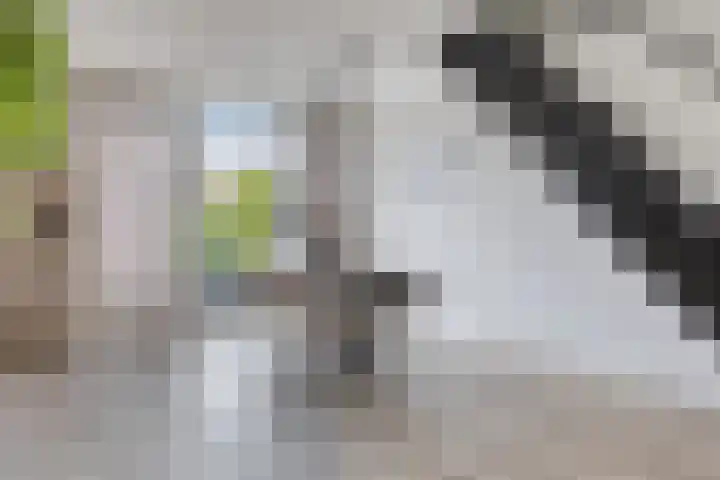 Putteweye 4 Heenvliet thumbnail 11