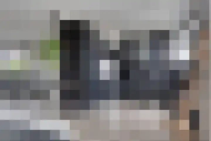 Putteweye 4 Heenvliet thumbnail 12
