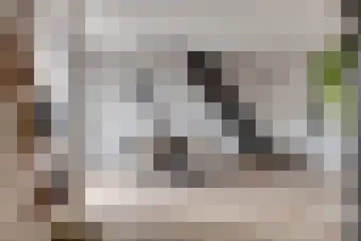 Putteweye 4 Heenvliet thumbnail 14