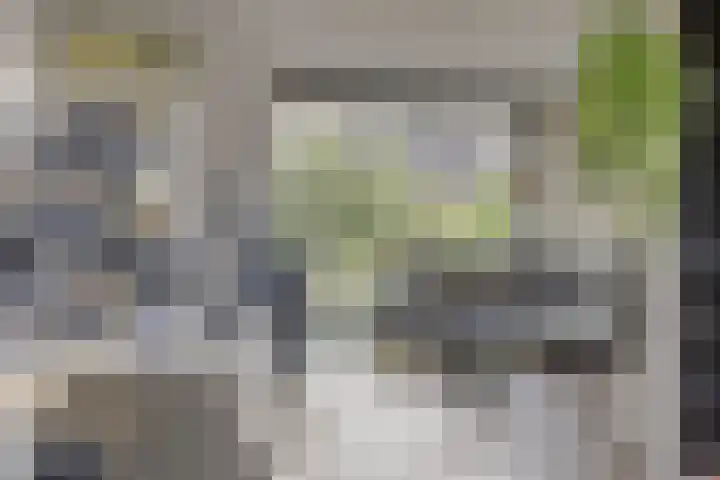 Putteweye 4 Heenvliet thumbnail 17
