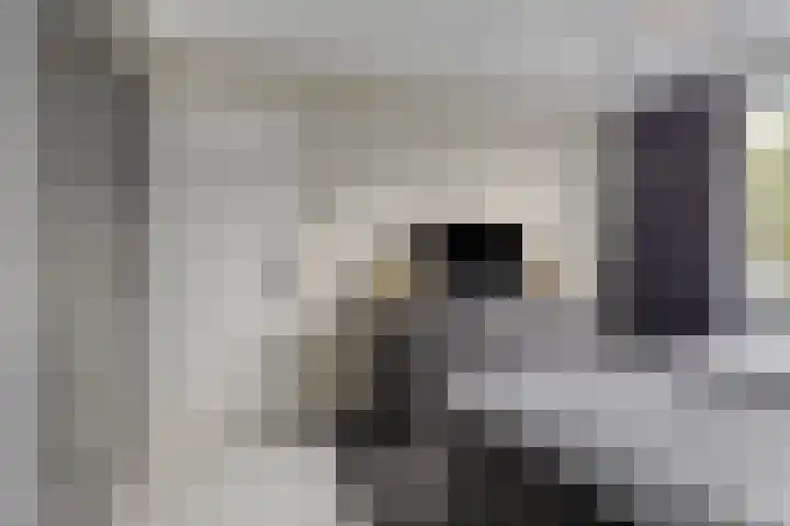 Putteweye 4 Heenvliet thumbnail 19