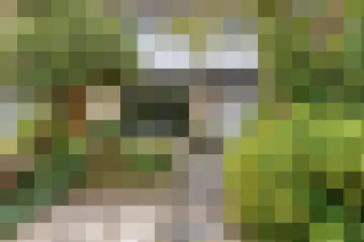 Putteweye 4 Heenvliet foto 2