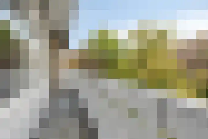 Putteweye 4 Heenvliet thumbnail 27