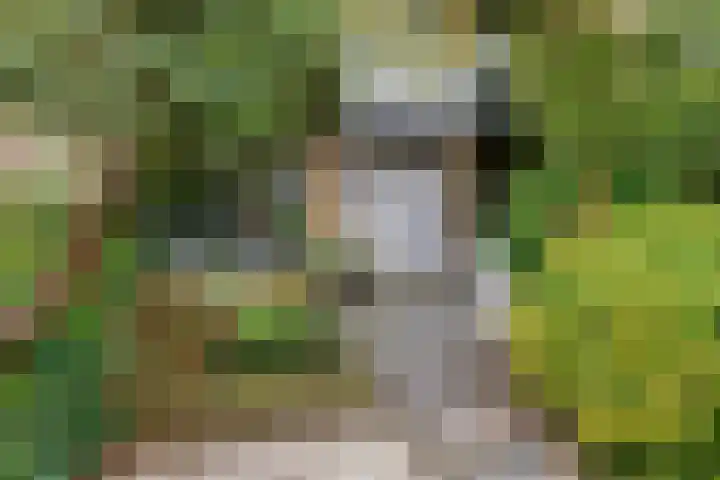 Putteweye 4 Heenvliet foto 3