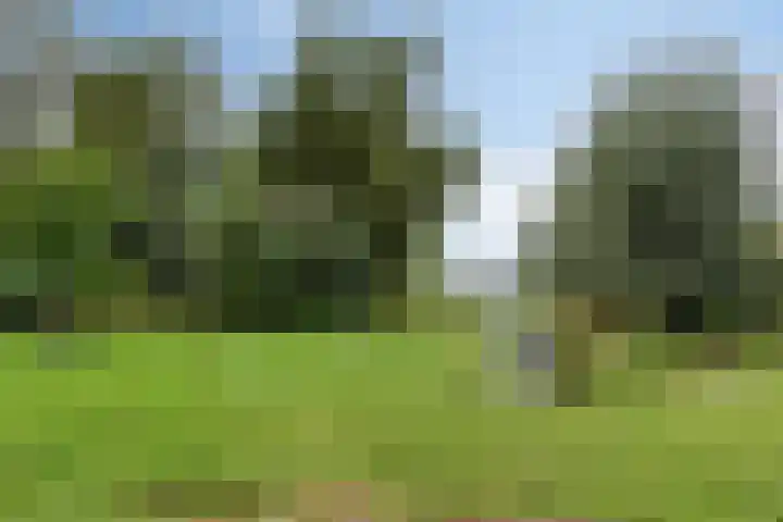 Putteweye 4 Heenvliet thumbnail 34
