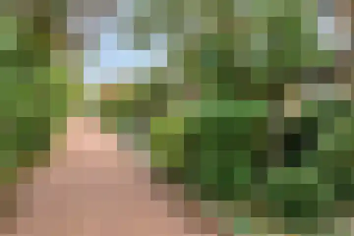 Putteweye 4 Heenvliet thumbnail 35
