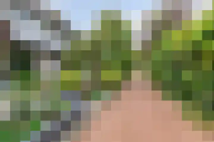 Putteweye 4 Heenvliet thumbnail 36