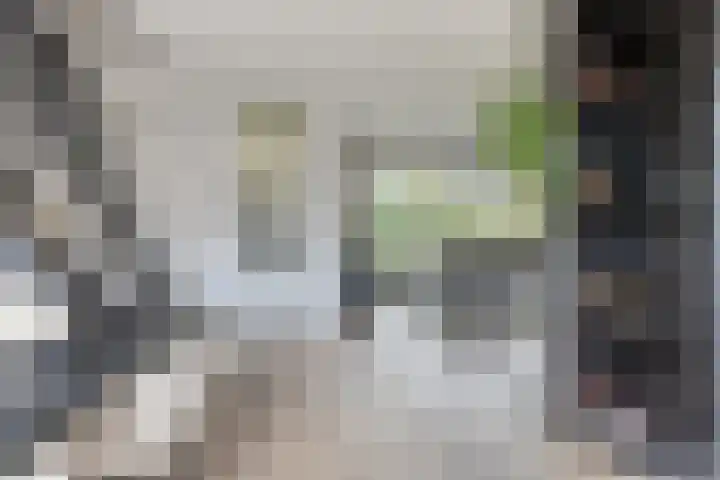 Putteweye 4 Heenvliet thumbnail 4