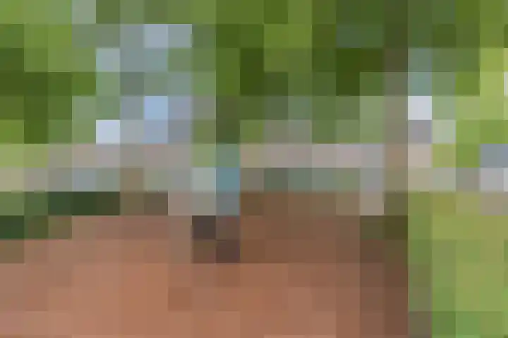 Putven 9 Goirle thumbnail 35
