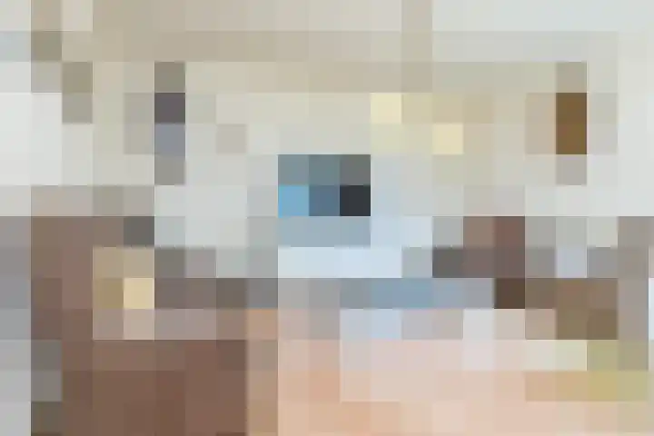 Putweg 12 Hulsberg thumbnail 10