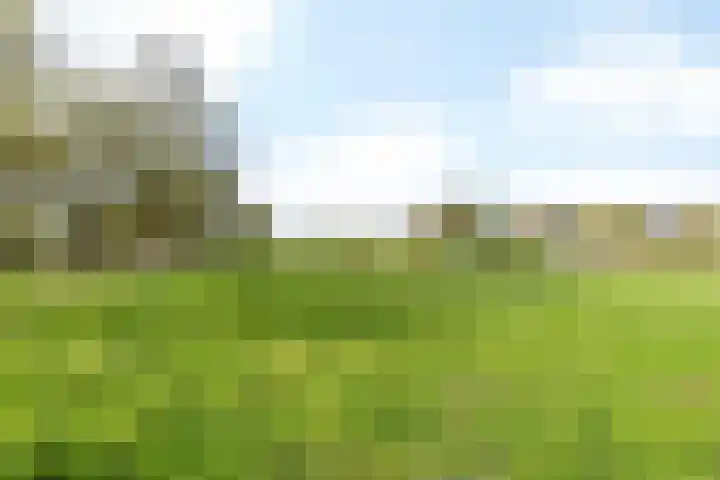 Putweg 12 Hulsberg thumbnail 22