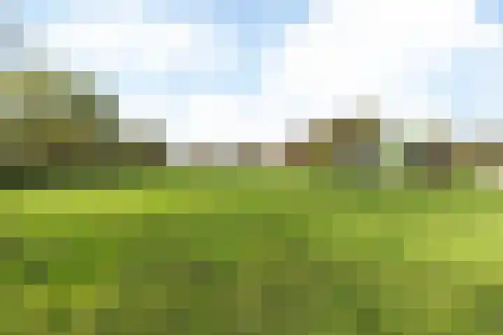 Putweg 12 Hulsberg thumbnail 23