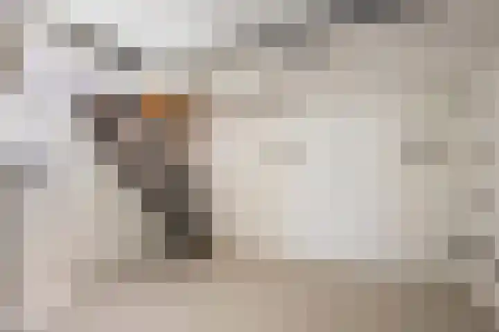 Putweg 35 Klimmen thumbnail 16