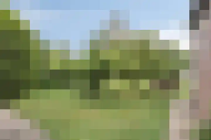 Putweg 35 Klimmen thumbnail 18