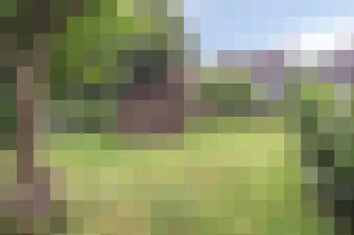 Putweg 35 Klimmen thumbnail 19