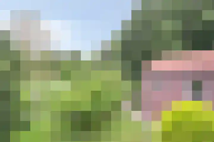 Putweg 35 Klimmen thumbnail 20