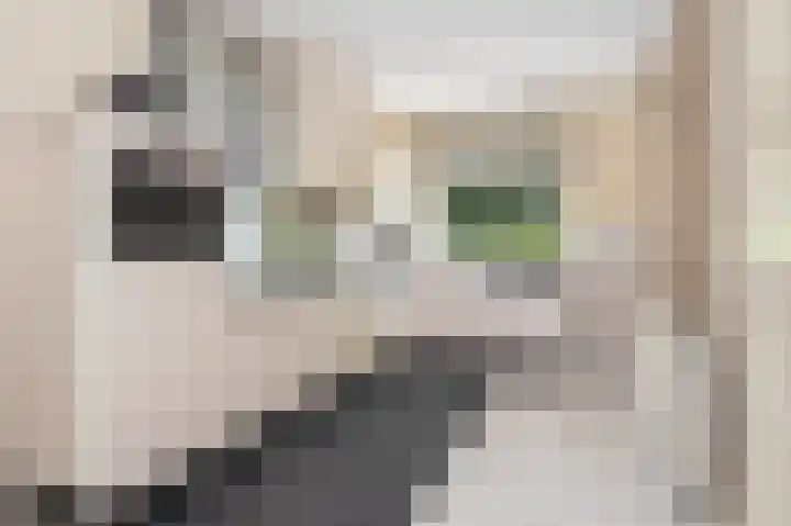 Putweg 35 Klimmen thumbnail 8