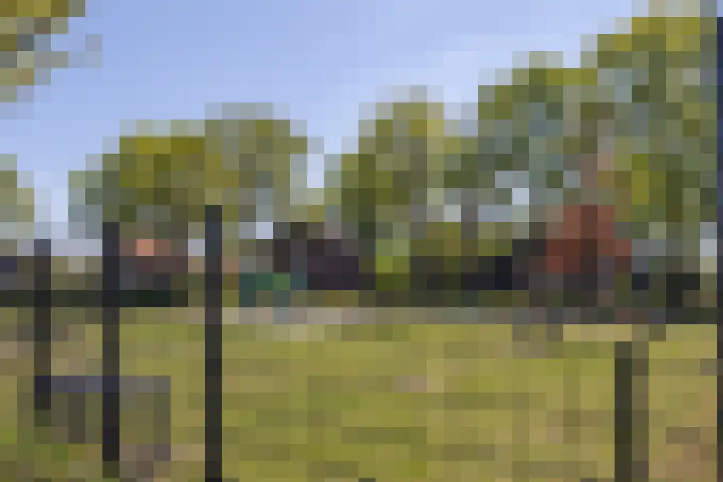 Putwei 11 Hilvarenbeek thumbnail 31