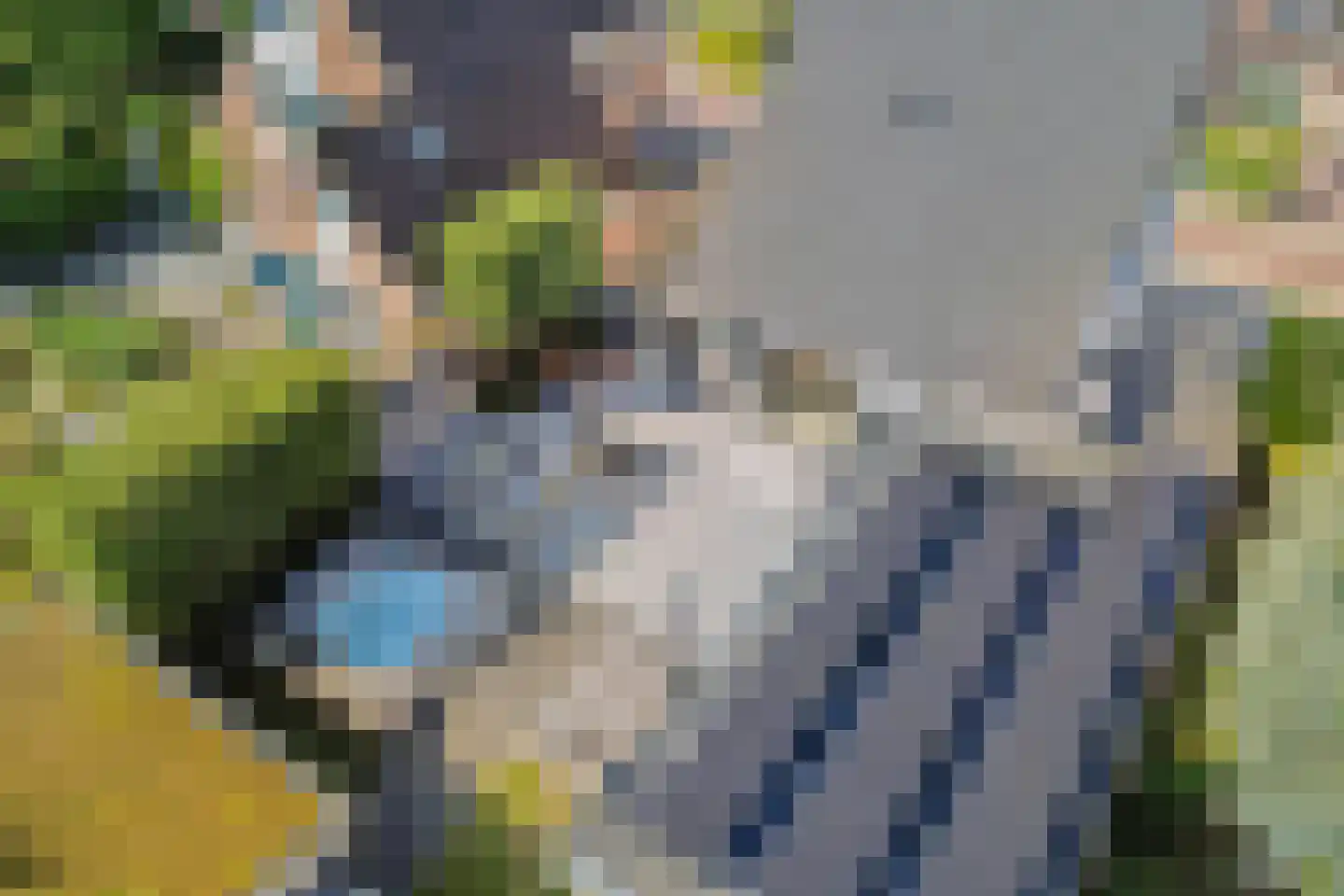 Putwei 17 Goes thumbnail 12