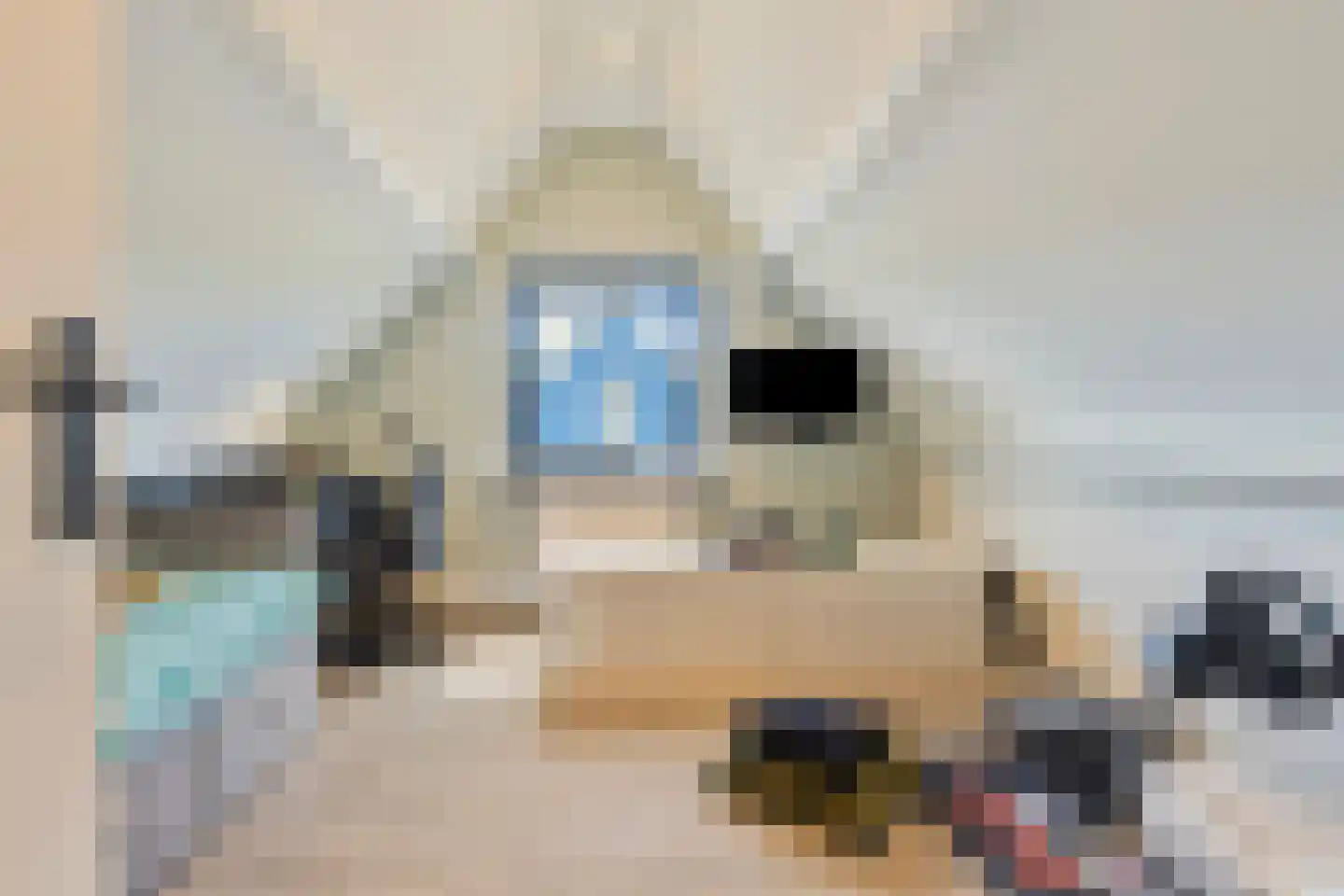 Putwei 17 Goes thumbnail 33