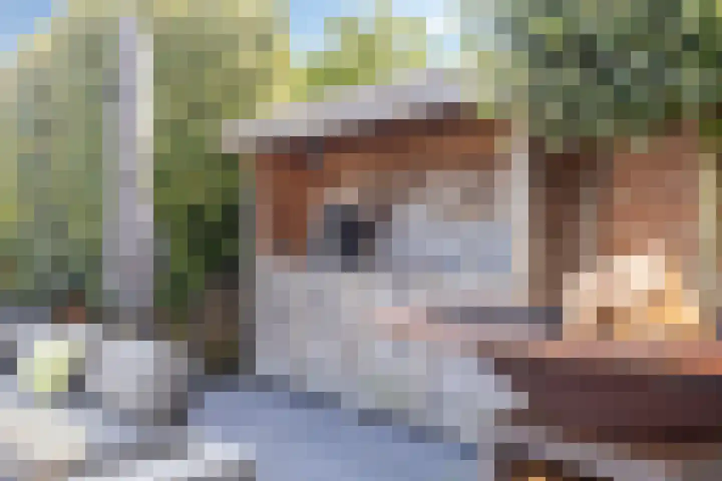 Putwei 17 Goes thumbnail 36