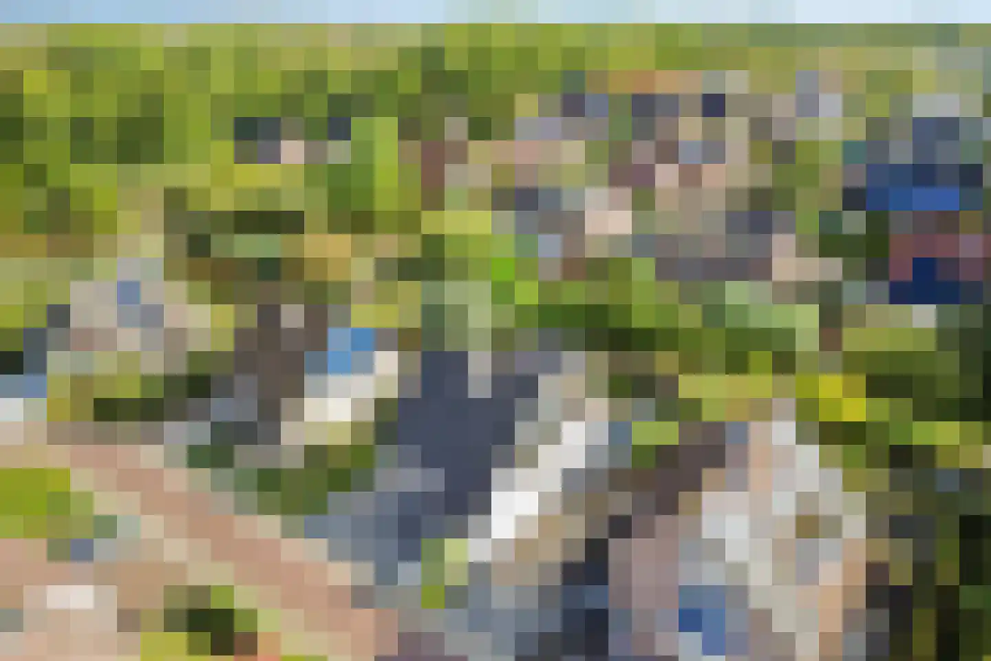 Putwei 17 Goes thumbnail 4