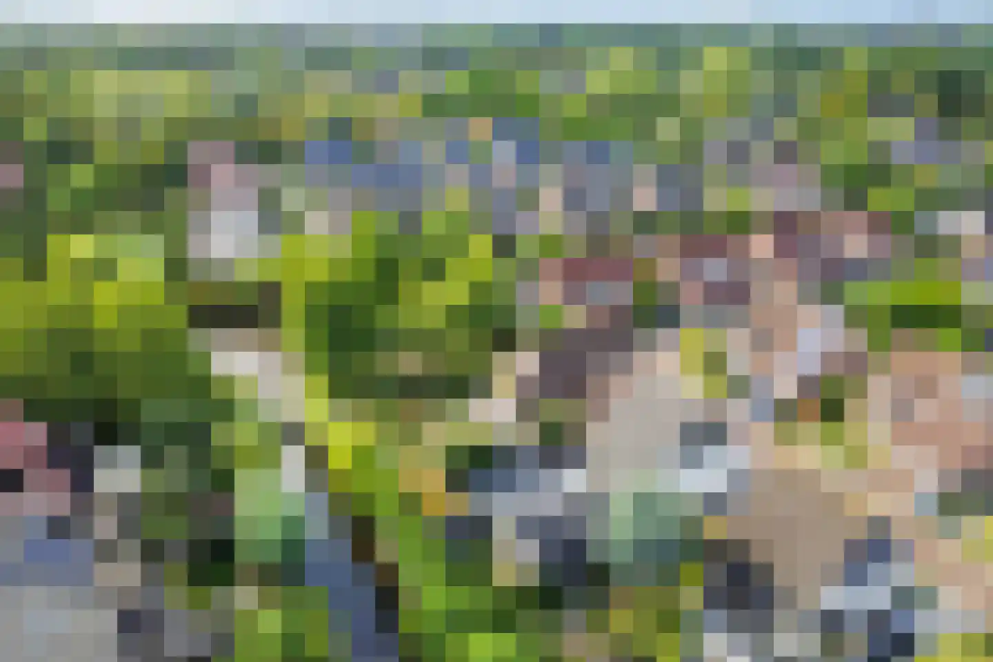 Putwei 17 Goes thumbnail 44