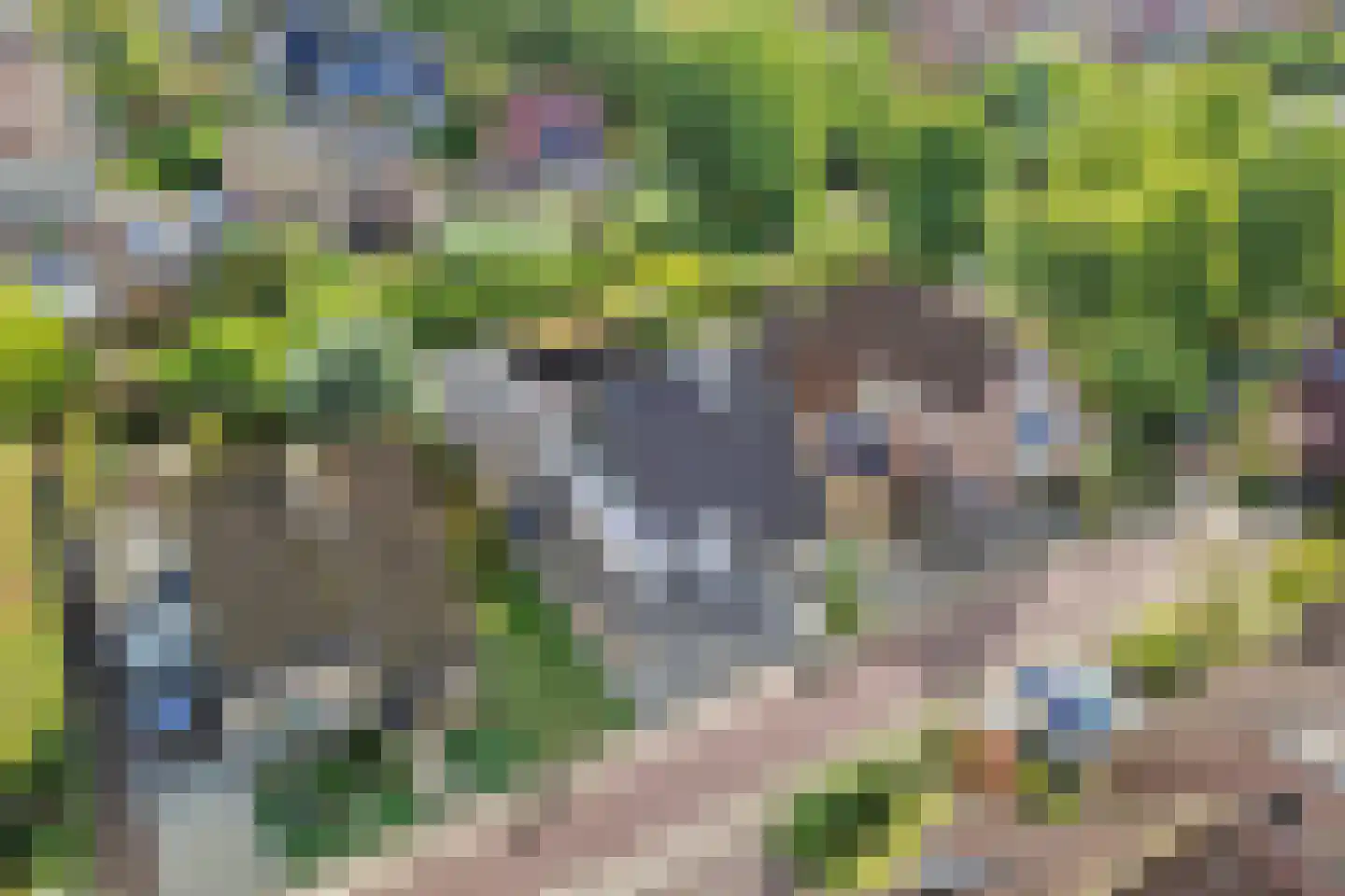 Putwei 17 Goes thumbnail 46