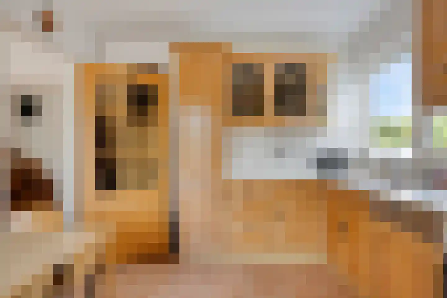 Putwei 19 Goes thumbnail 20