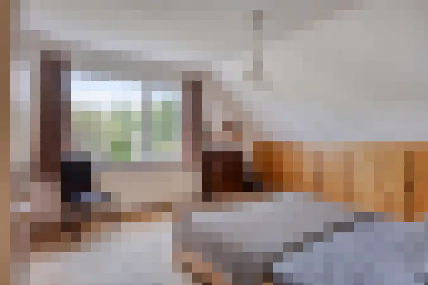 Putwei 19 Goes thumbnail 27