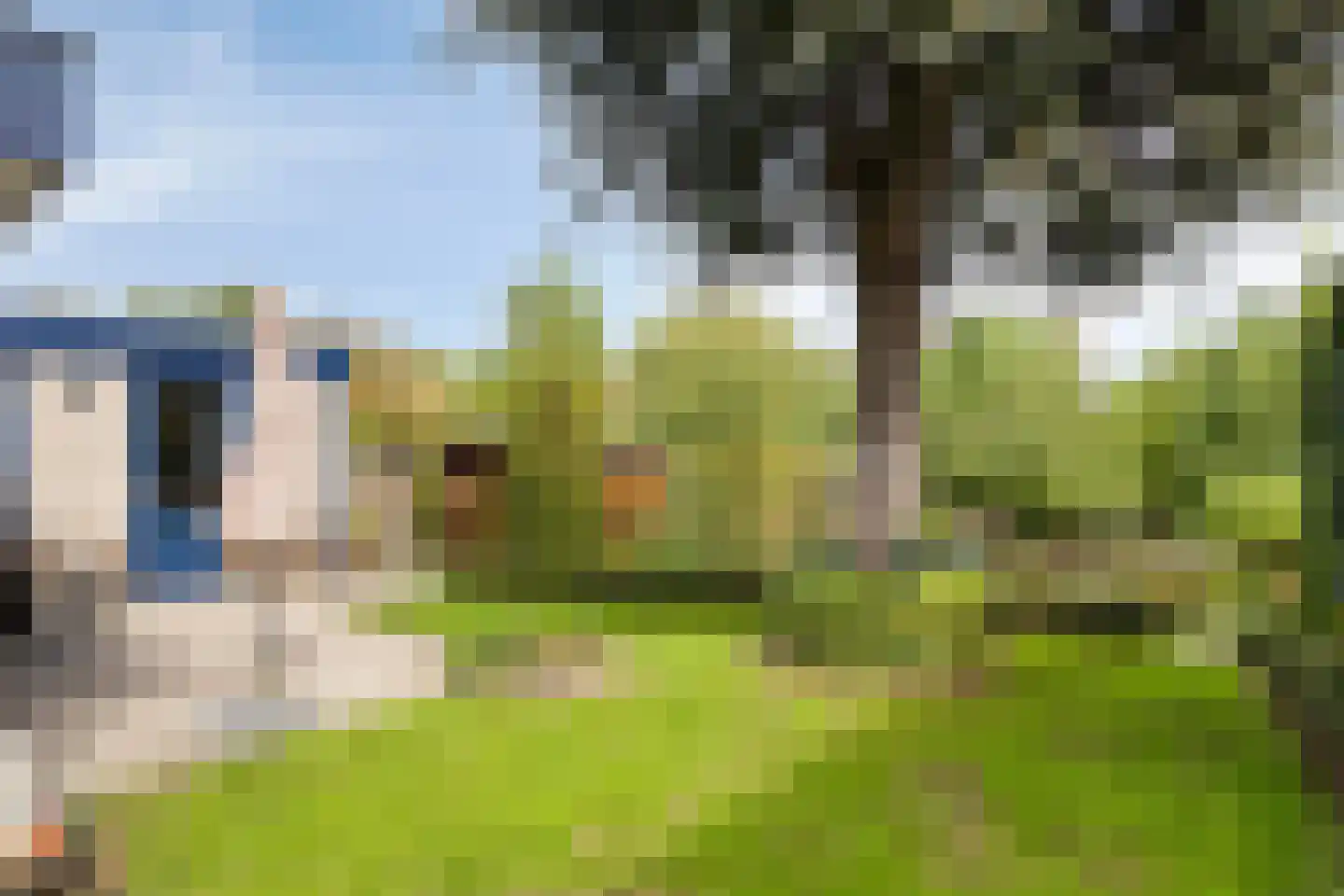 Putwei 19 Goes thumbnail 38