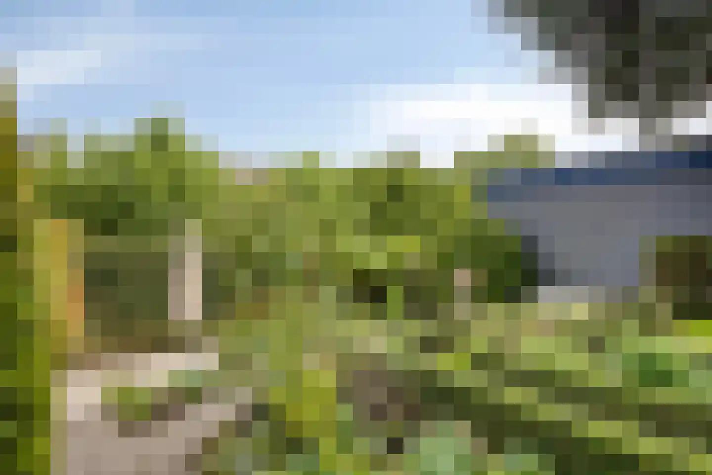 Putwei 19 Goes thumbnail 41