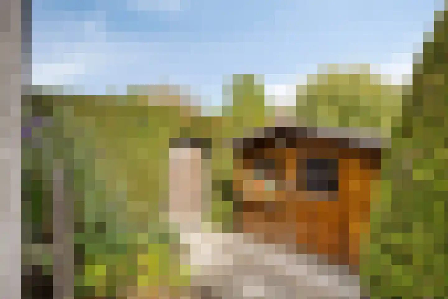 Putwei 19 Goes thumbnail 42