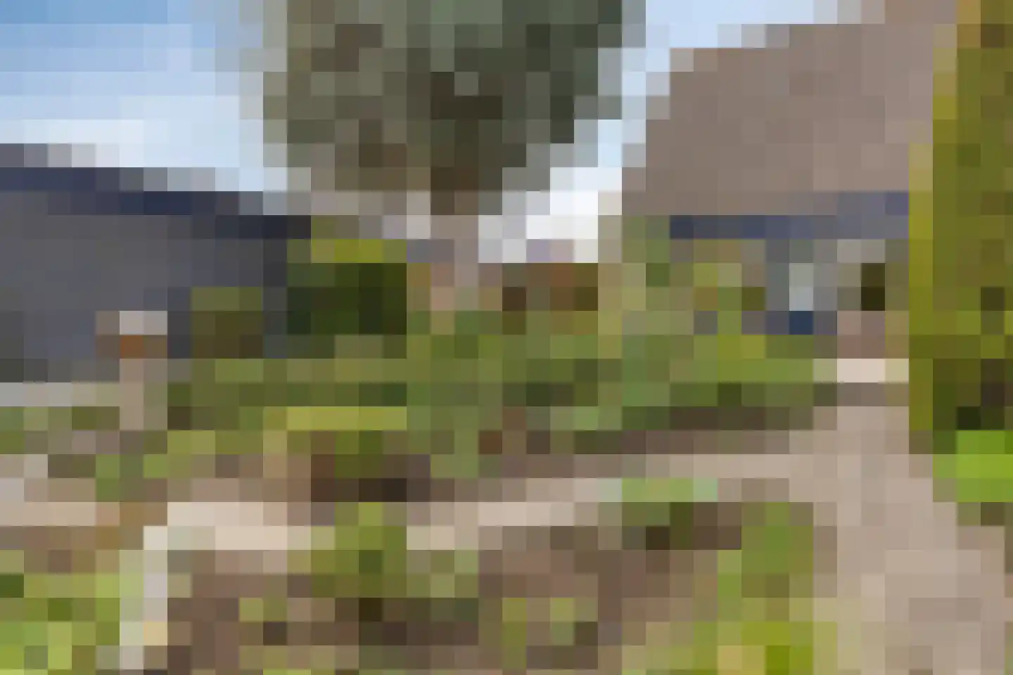 Putwei 19 Goes thumbnail 43