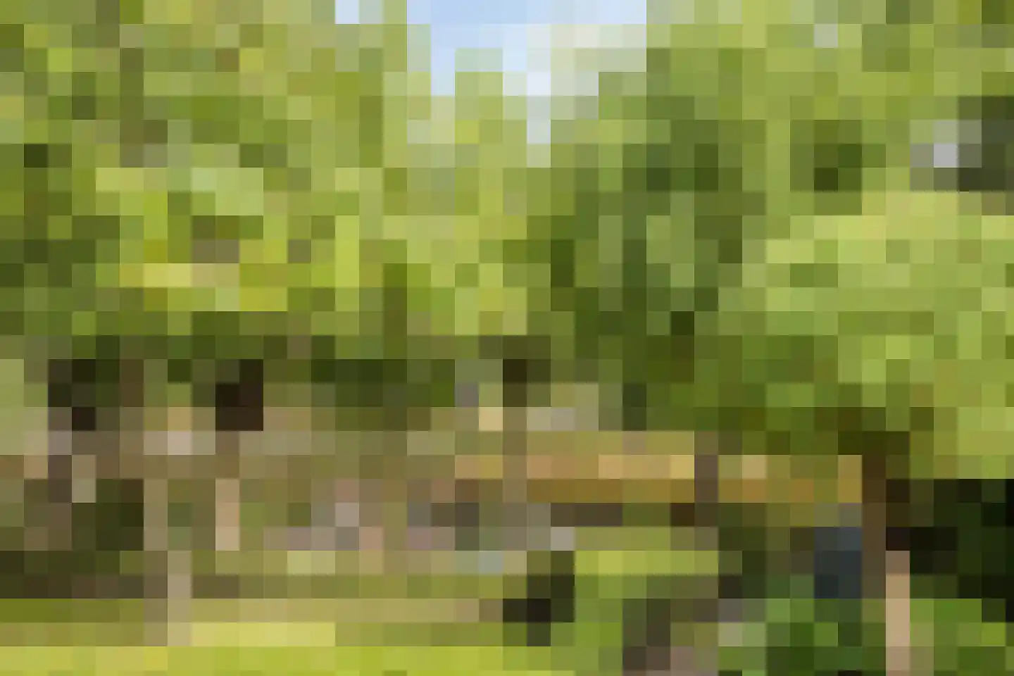 Putwei 19 Goes thumbnail 45