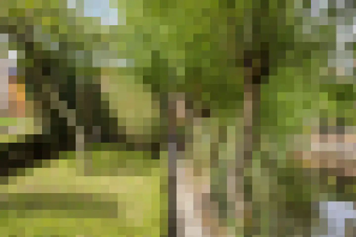 Putwei 19 Goes thumbnail 46
