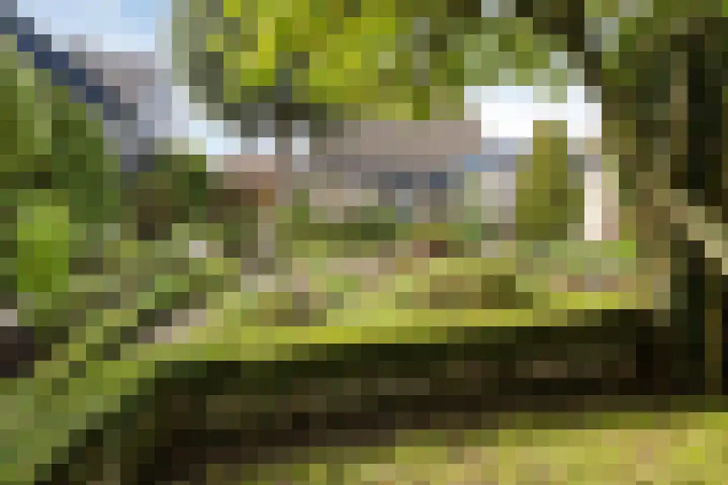 Putwei 19 Goes thumbnail 47
