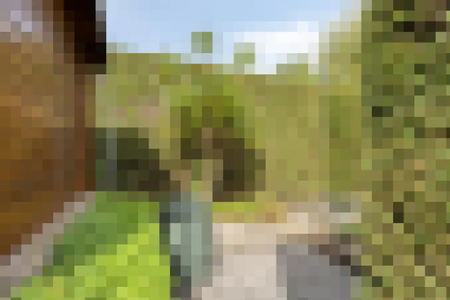 Putwei 19 Goes thumbnail 48