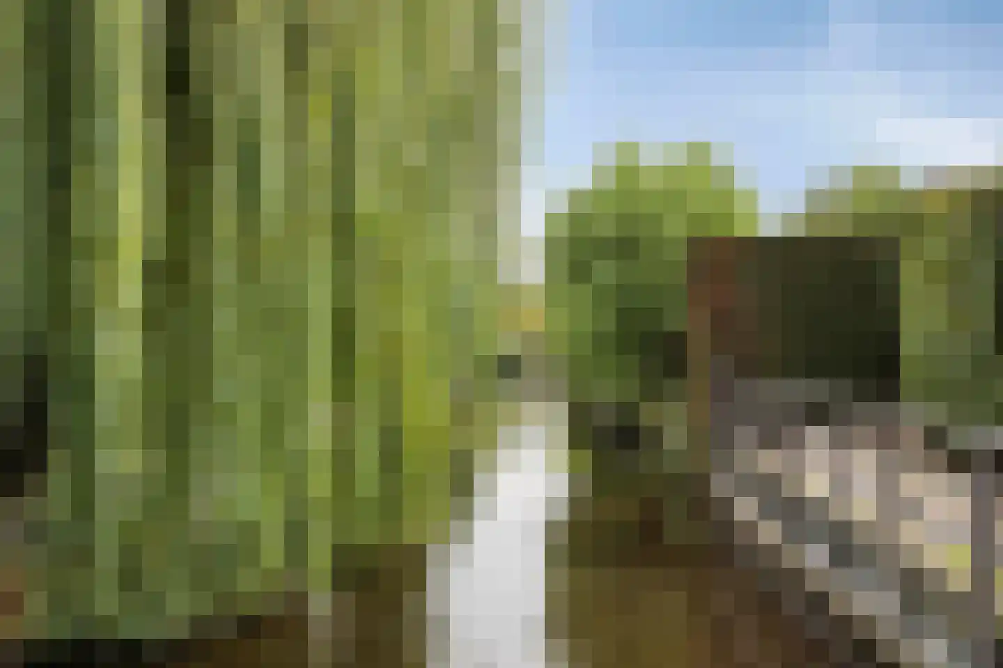 Putwei 19 Goes thumbnail 51