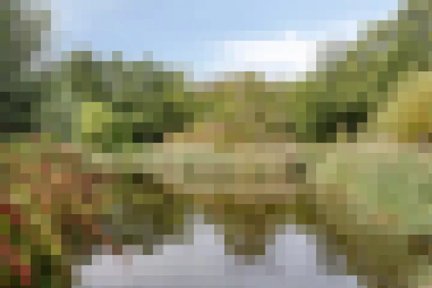 Putwei 19 Goes thumbnail 52