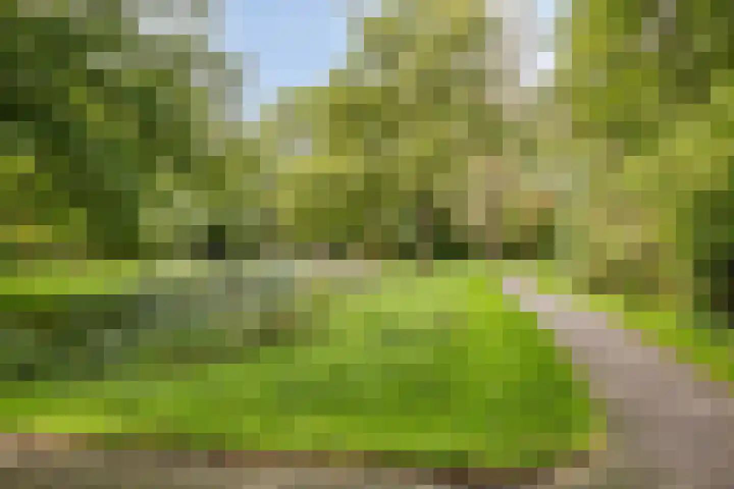Putwei 19 Goes thumbnail 53