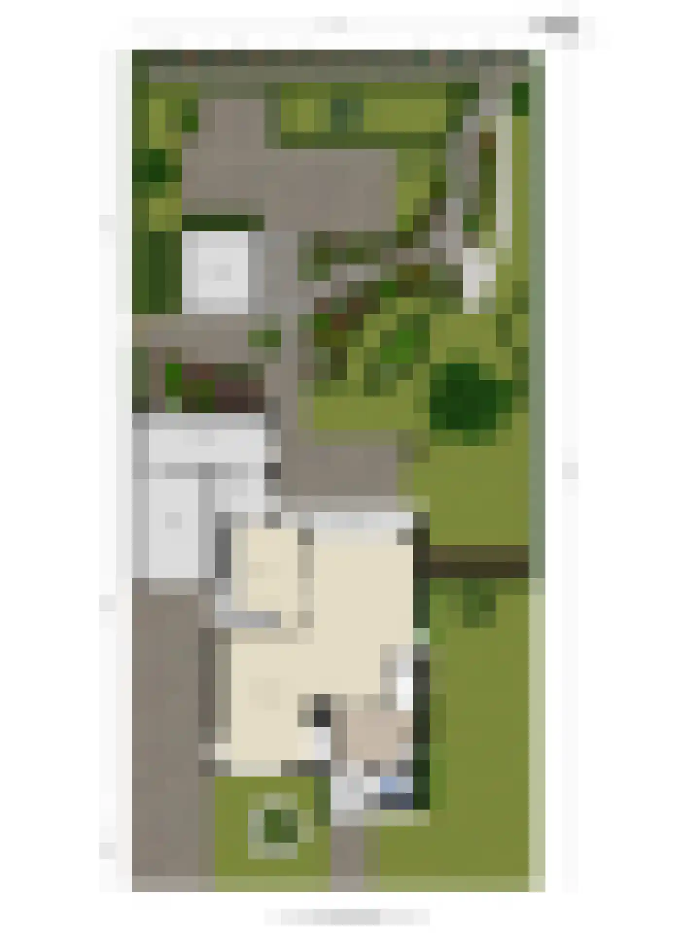 Putwei 19 Goes thumbnail 55