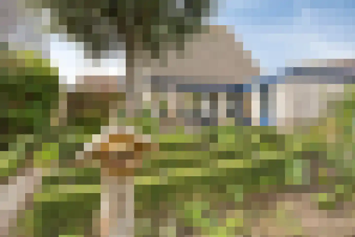 Putwei 19 Goes thumbnail 6