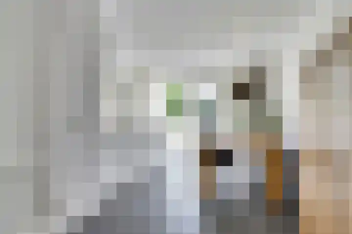 Putwei 25 Hilvarenbeek thumbnail 10