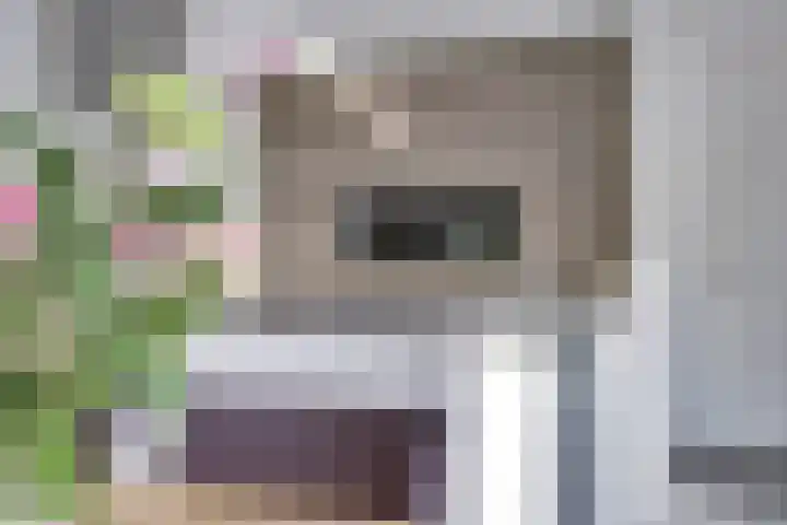 Putwei 25 Hilvarenbeek thumbnail 12