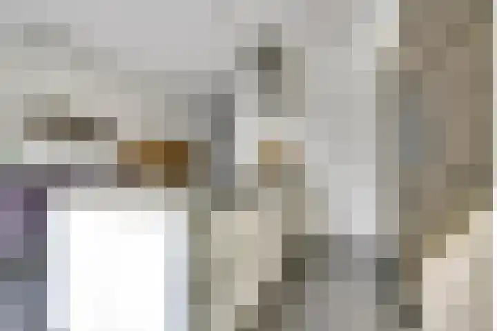 Putwei 25 Hilvarenbeek thumbnail 14