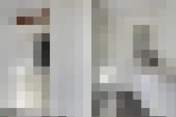 Putwei 25 Hilvarenbeek thumbnail 15
