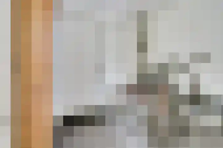 Putwei 25 Hilvarenbeek thumbnail 17