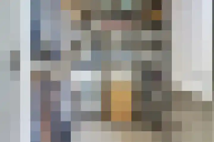 Putwei 25 Hilvarenbeek thumbnail 21